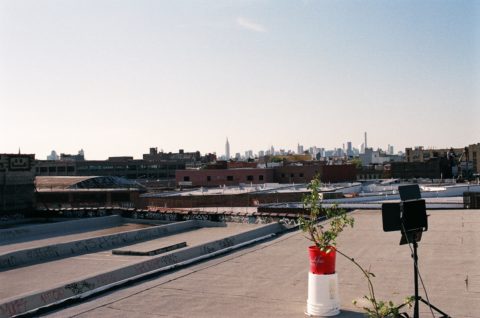 [Roof Image]